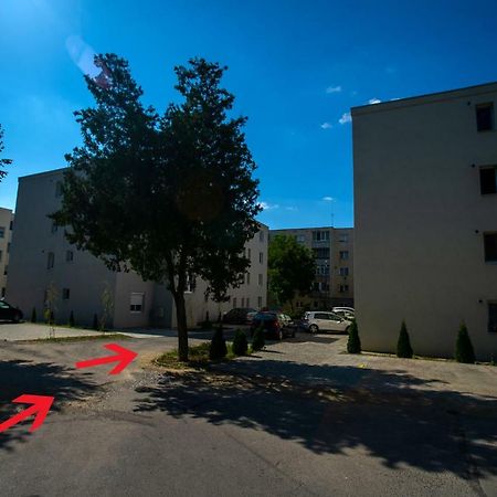 Cozy Apartment Сигишоара Экстерьер фото